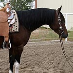 Blowin Smoke GE Blowin Smoke GE