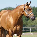 Color Me Delicate Color Me Delicate