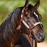 Cool N Impressive Cool N Impressive