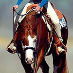 Ima Colorful Bar Ima Colorful Bar