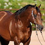 Jessie Been Larkin GE Jessie Been Larkin GE