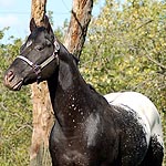 Klassy At Night GE Klassy At Night GE