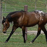 OhMyZip WF OhMyZip WF